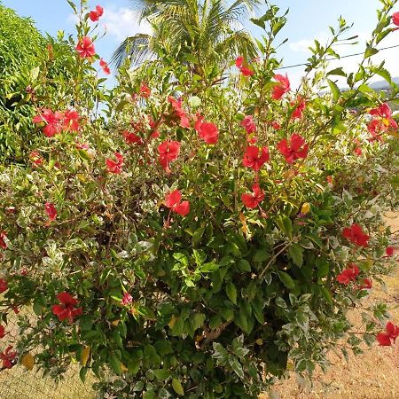 Villa Soleil Dz Baillif 外观 照片